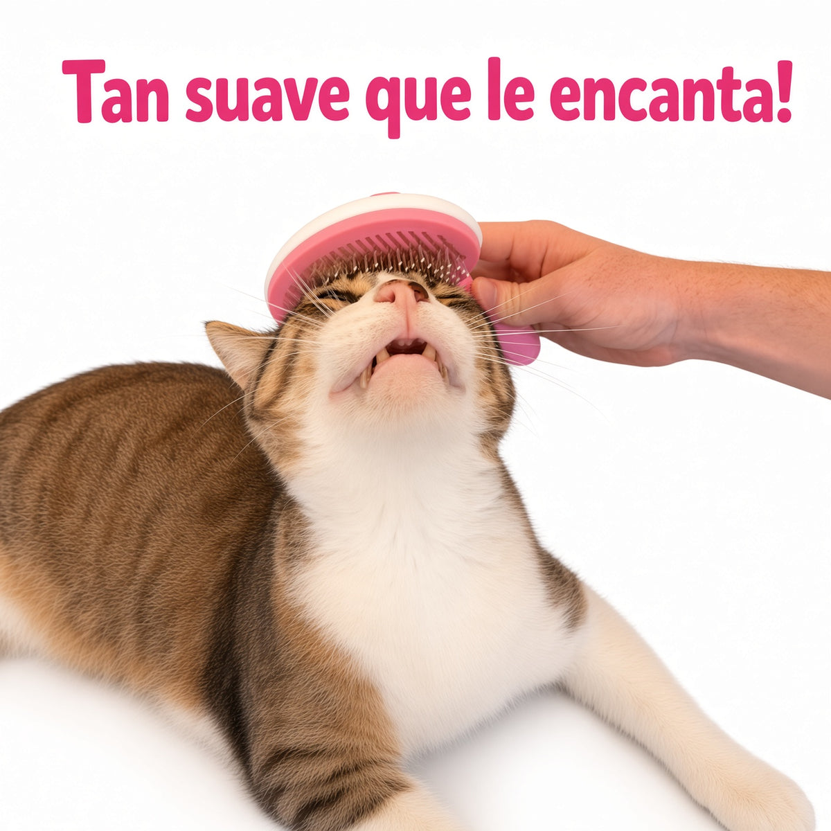 Cepillo para Gatos